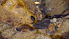 camp28 (492)_thumb.png